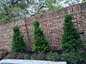 Кирпичный забор сплошной 12 метров фото в Талдоме